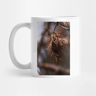 Pine Cone Mug